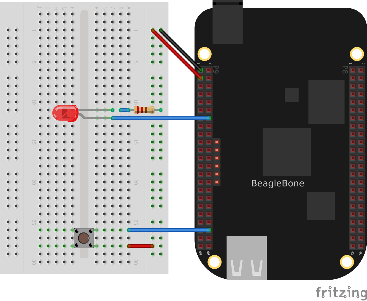 Bone with pushbutton and LED